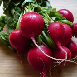 5940-radish.jpeg