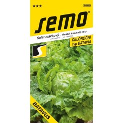 salat-hlavkovy-batavus-sm-bat-profi-polni.jpeg